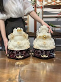CẶP CÓC-TỲ ĐẠI DÁT VÀNG